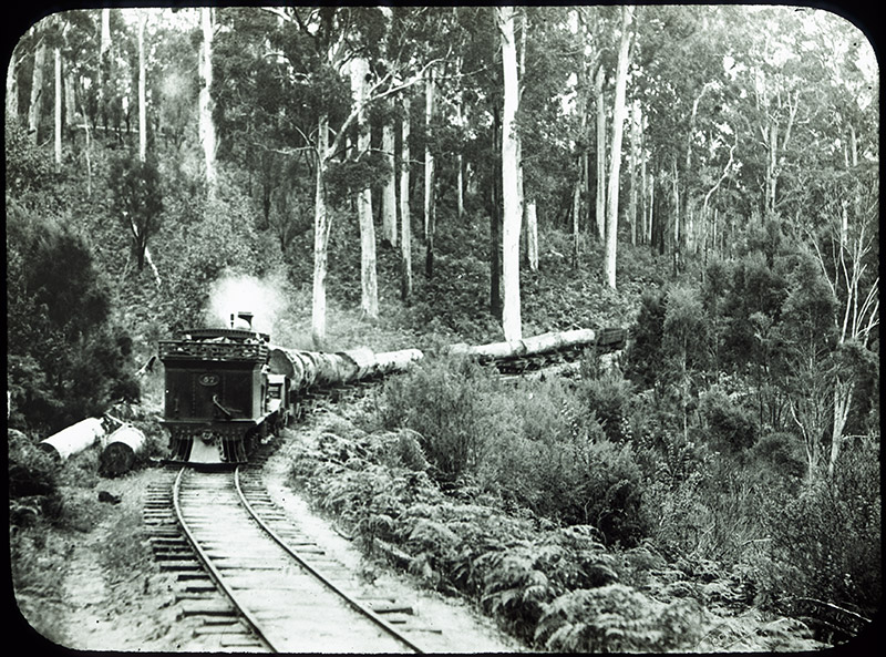 54 - Timber Train - WA.jpg - 54 - Timber Train - WA
